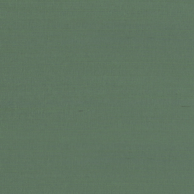 Thibaut Rafia Plain Green Wallpaper