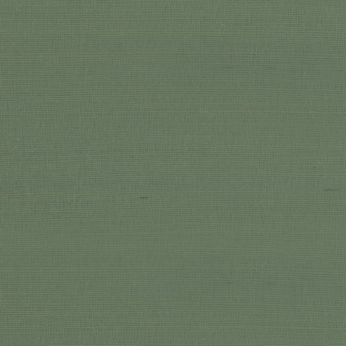 Armani Rafia Plain Green Wallpaper