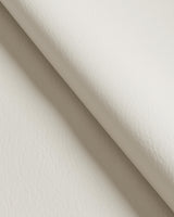 Kravet FORZA LIMESTONE Upholstery Fabric