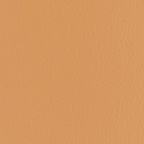 Kravet FORZA PAPAYA Upholstery Fabric