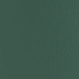 Kravet FORZA FOREST Upholstery Fabric