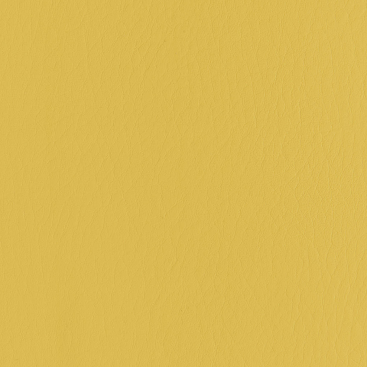 Kravet FORZA DANDELION Upholstery Fabric