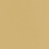 Kravet FORZA BUTTERSCOTCH Upholstery Fabric