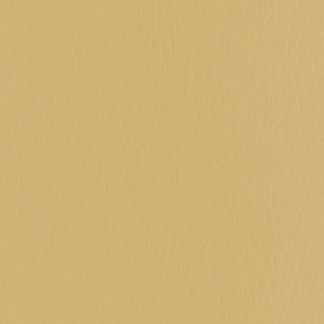 Kravet FORZA BUTTERSCOTCH Upholstery Fabric