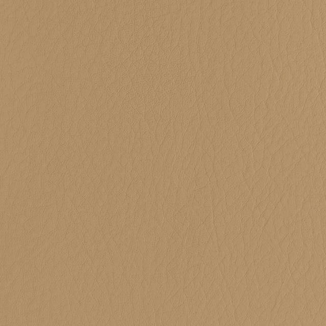 Kravet FORZA CARAMEL Upholstery Fabric