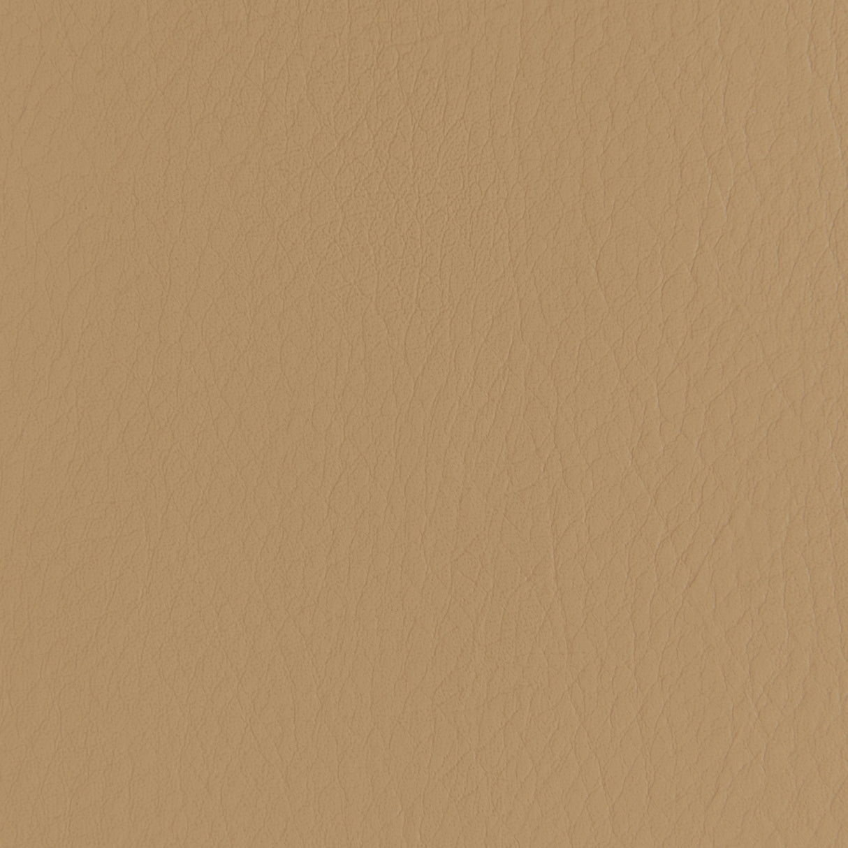 Kravet FORZA CARAMEL Upholstery Fabric