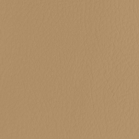 Kravet FORZA CARAMEL Upholstery Fabric