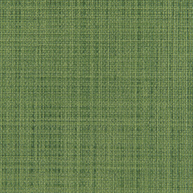 Kravet SCRIMSHAW CACTUS Upholstery Fabric