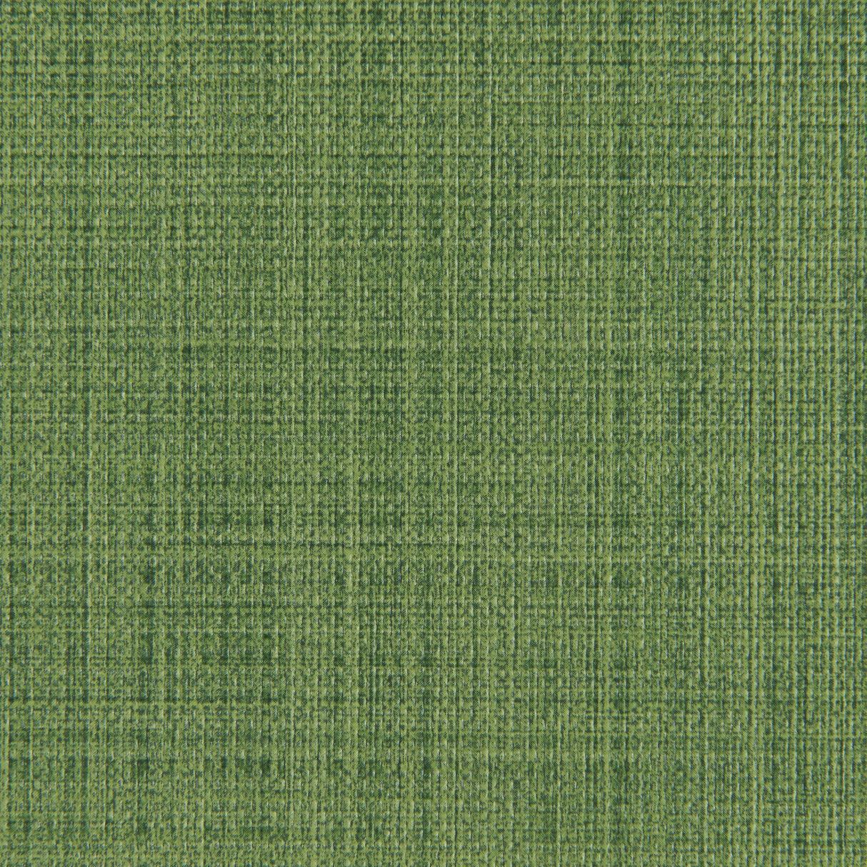 Kravet SCRIMSHAW CACTUS Upholstery Fabric