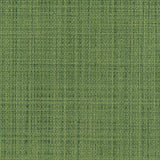 Kravet SCRIMSHAW CACTUS Upholstery Fabric