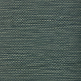 Kravet STITCH RAINFOREST Upholstery Fabric