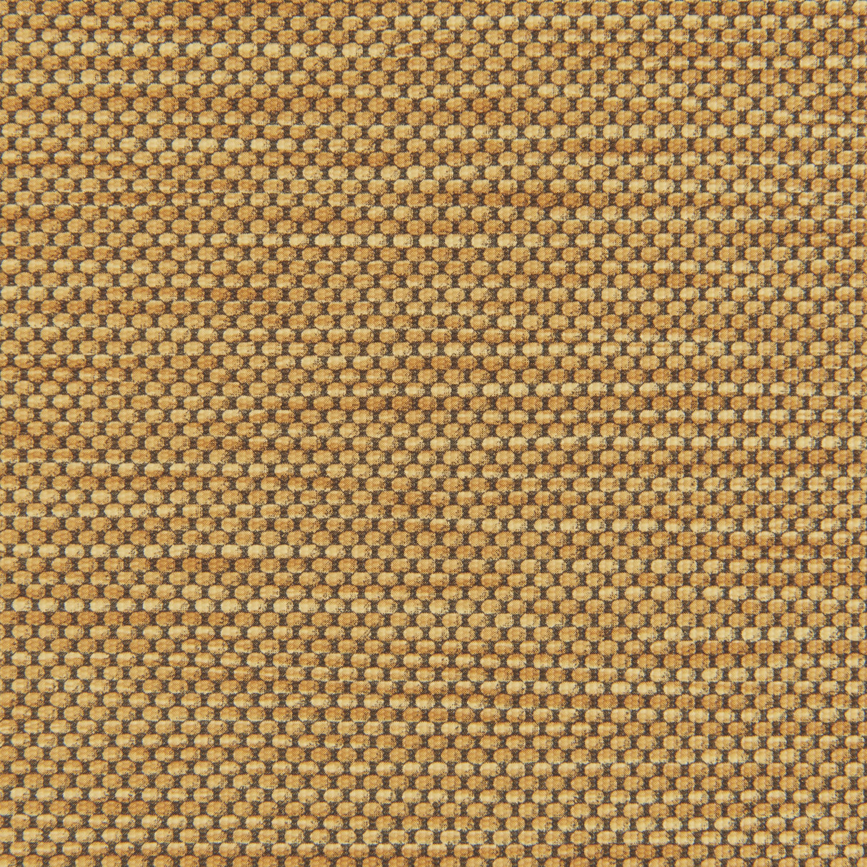 Kravet STITCH HONEY Upholstery Fabric