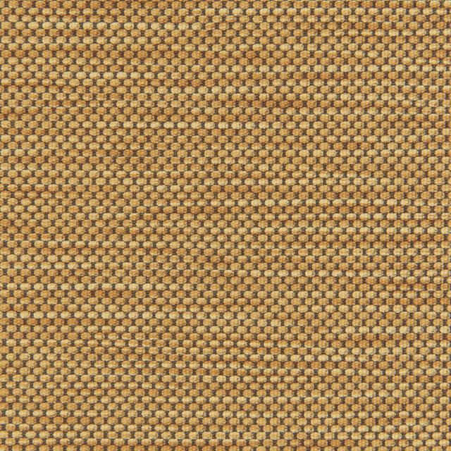 Kravet STITCH HONEY Upholstery Fabric
