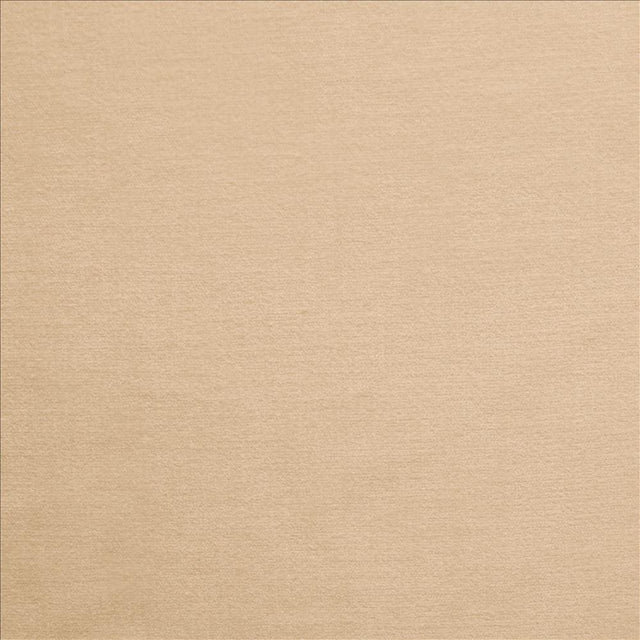 Kasmir Corato Eggshell Fabric