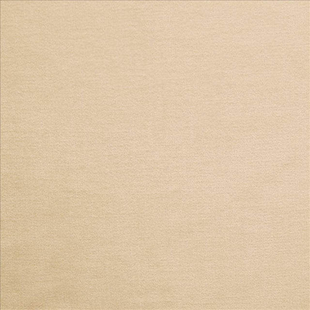 Kasmir Corato Gull Fabric