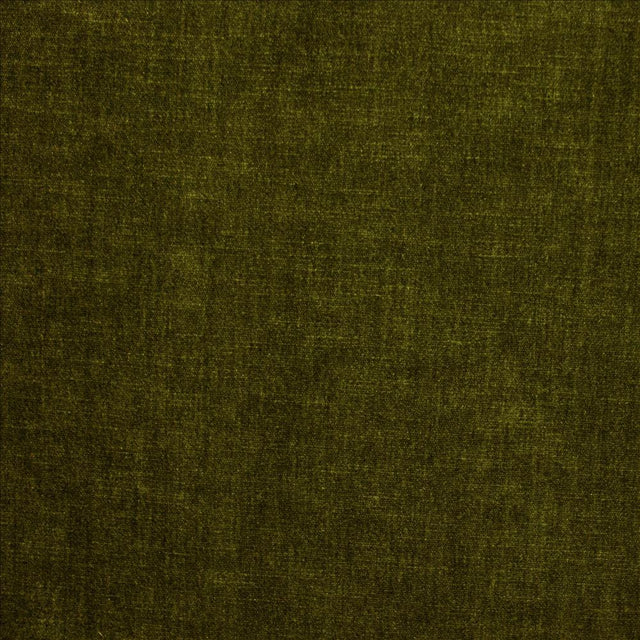 Kasmir Corato Loden Fabric