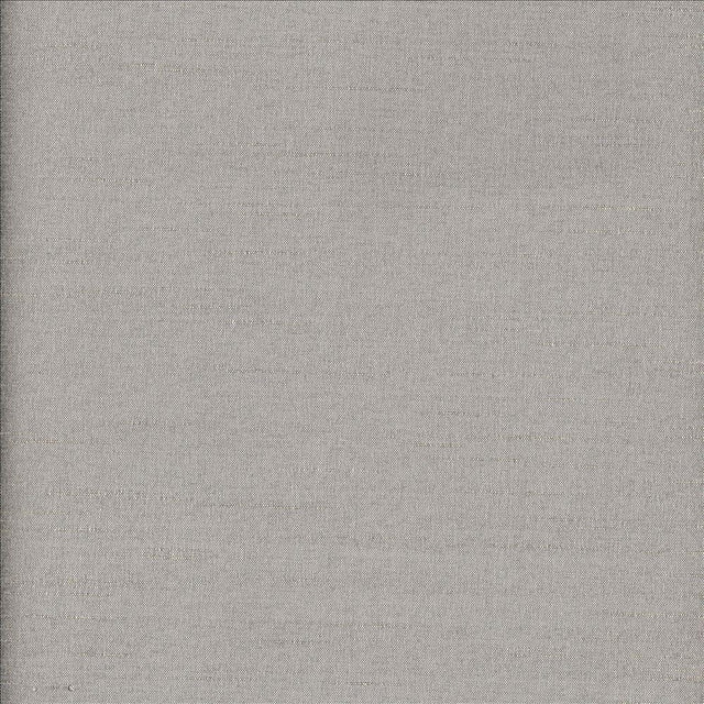 Kasmir Haily Silver Fabric