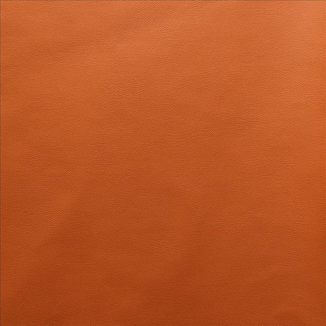 Kasmir Vanden Carrot Fabric