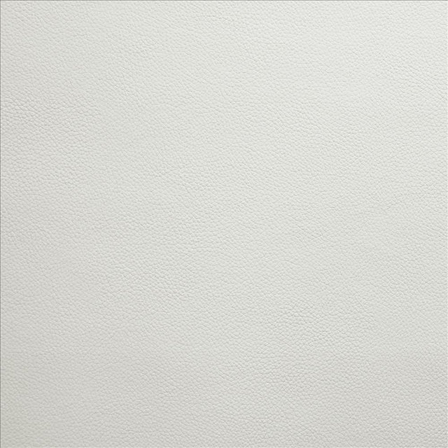 Kasmir Vanden Cloud Fabric