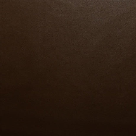 Kasmir Vanden Coffee Fabric