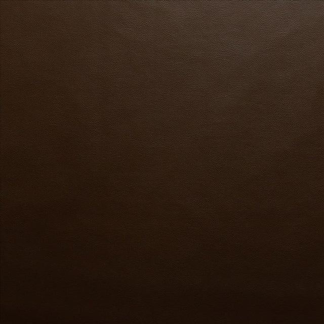 Kasmir Vanden Coffee Fabric