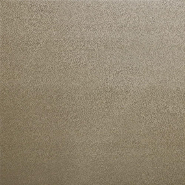 Kasmir Vanden Ecru Fabric