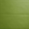 Kasmir Vanden Fern Fabric