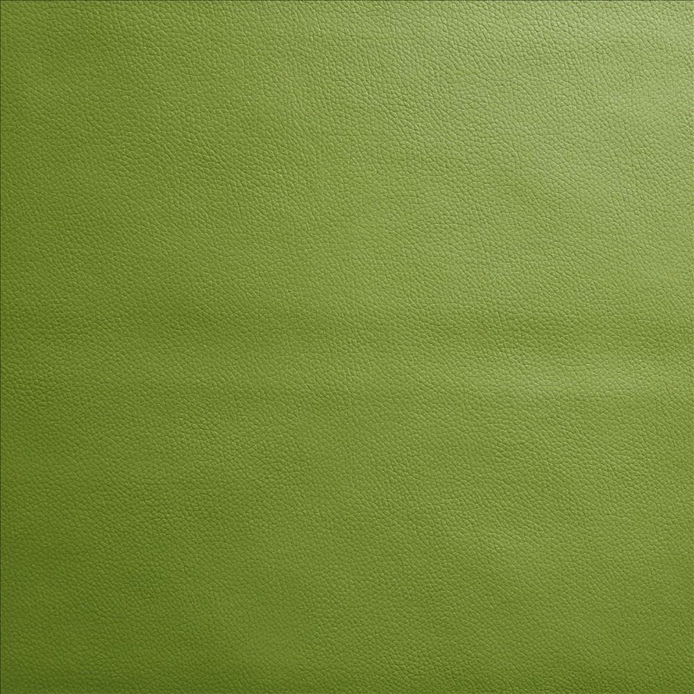 Kasmir Vanden Fern Fabric