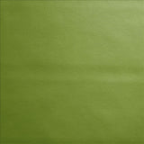 Kasmir Vanden Fern Fabric