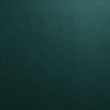 Kasmir Vanden Forest Fabric