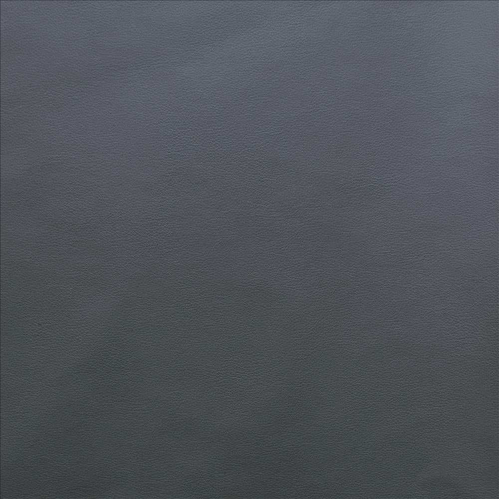 Kasmir Vanden Fossil Fabric