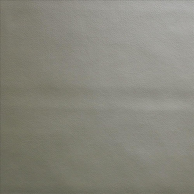 Kasmir Vanden Neutral Fabric