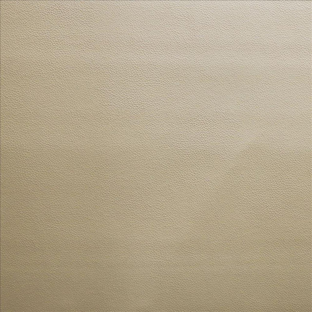 Kasmir Vanden Sepia Fabric