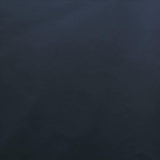 Kasmir Vanden Space Fabric