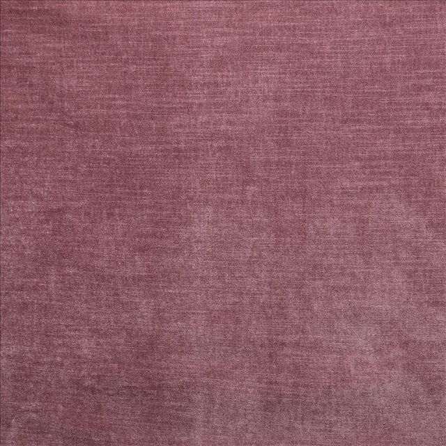 Kasmir Worthy English Rose Fabric