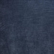 Kasmir Worthy Old Navy Fabric