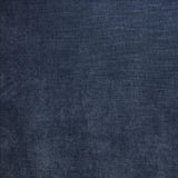 Kasmir Worthy Old Navy Fabric