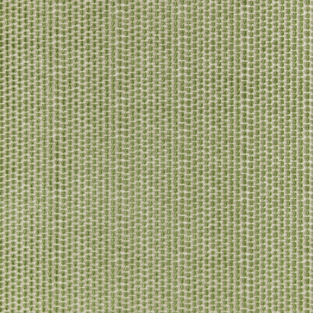 Brunschwig & Fils TEMPLON VELVET SAGE Upholstery Fabric