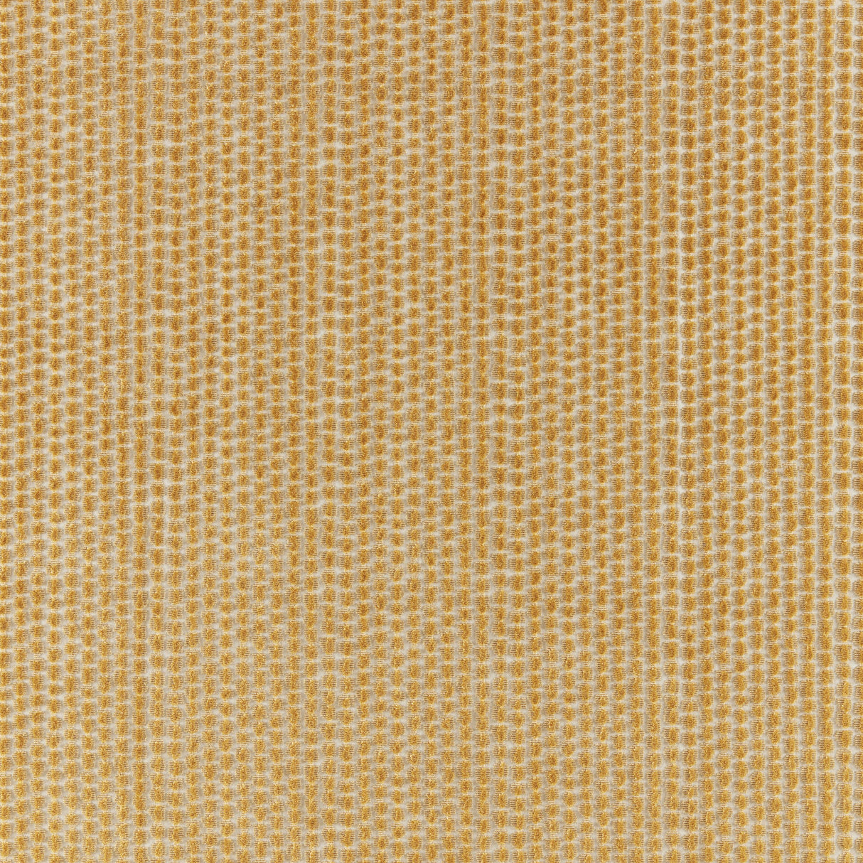 Brunschwig & Fils TEMPLON VELVET GOLD Upholstery Fabric