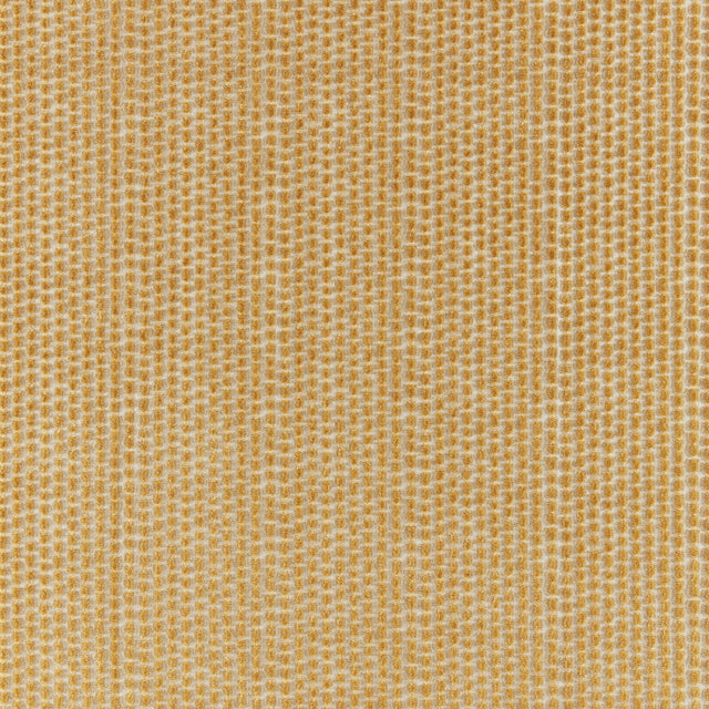 Brunschwig & Fils TEMPLON VELVET GOLD Upholstery Fabric