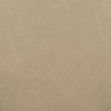 TOV Odessa Cream Vegan Leather Dining Chair