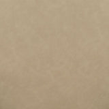 TOV Nikita Cream Performance Vegan Leather Dining Chair