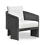 TOV Alexa Black Rattan Performance Fabric Outdoor Armchair