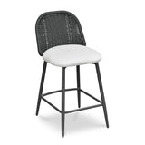 TOV Alexa Black Rattan Performance Fabric Counter Stool