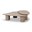 TOV Rhema Washed Ash Nesting Coffee Table Set