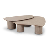 TOV Rhema Washed Ash Nesting Coffee Table Set