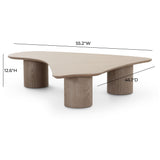 TOV Rhema Washed Ash Nesting Coffee Table Set