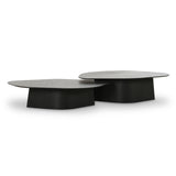 TOV Roche Black Ash Nesting Coffee Table Set