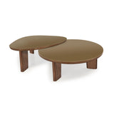 TOV Oani Walnut and Glass Round Coffee Table