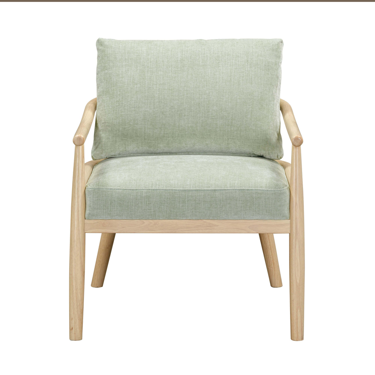TOV Dixie Mint Green Chenille Velvet Accent Chair